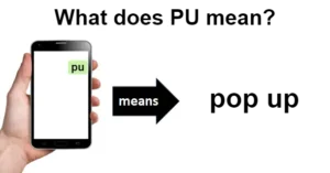 PU Meaning in Text