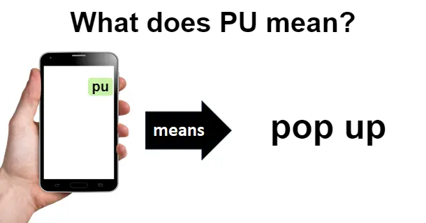 PU Meaning in Text