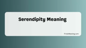 Serendipity Meaning