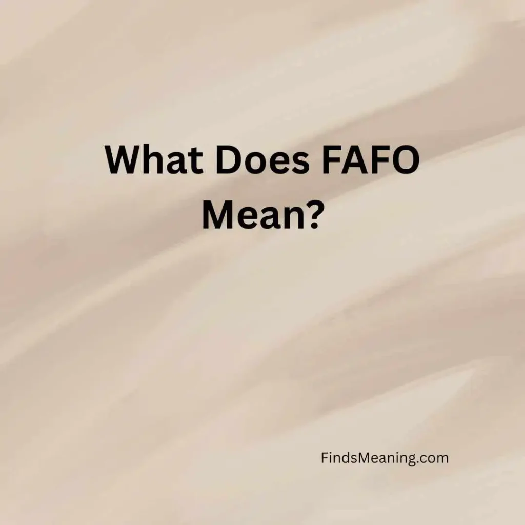 What Does FAFO Mean