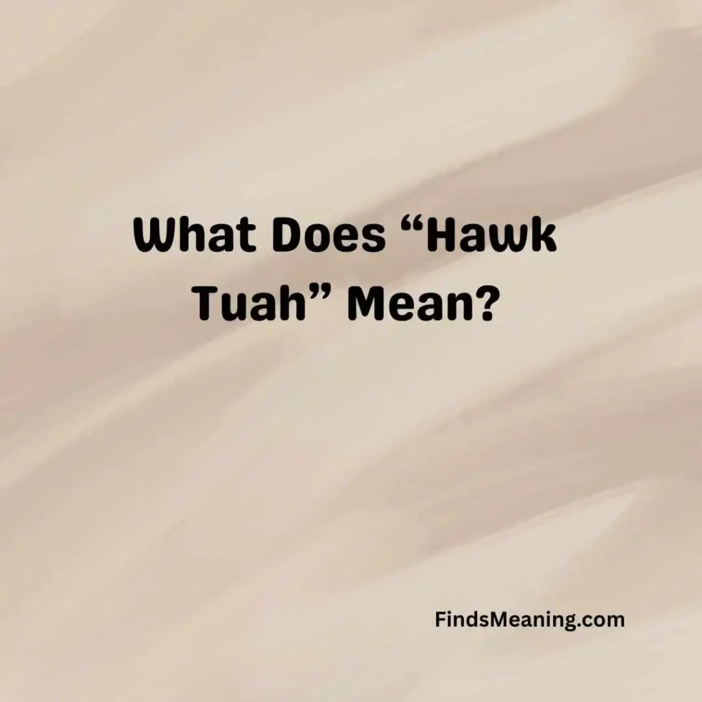 What Does “Hawk Tuah” Mean
