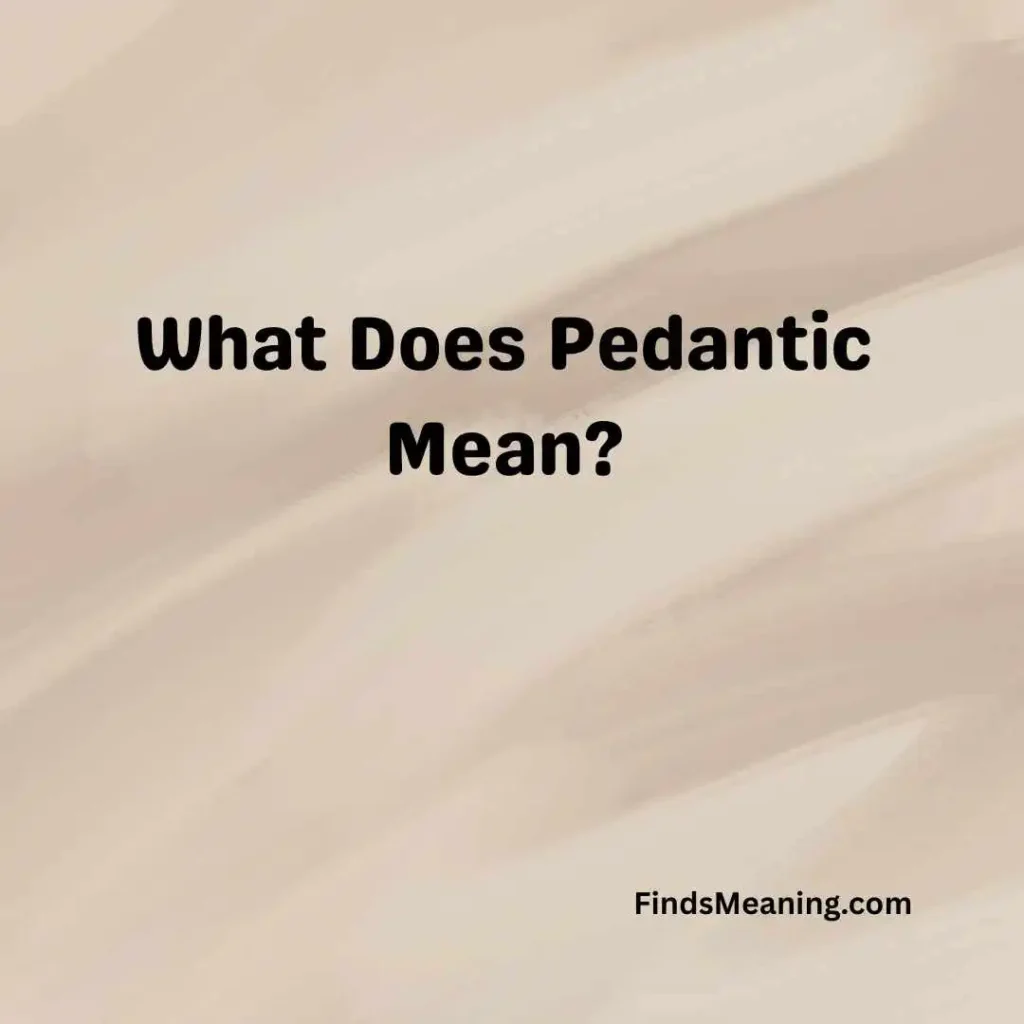 What Does Pedantic Mean