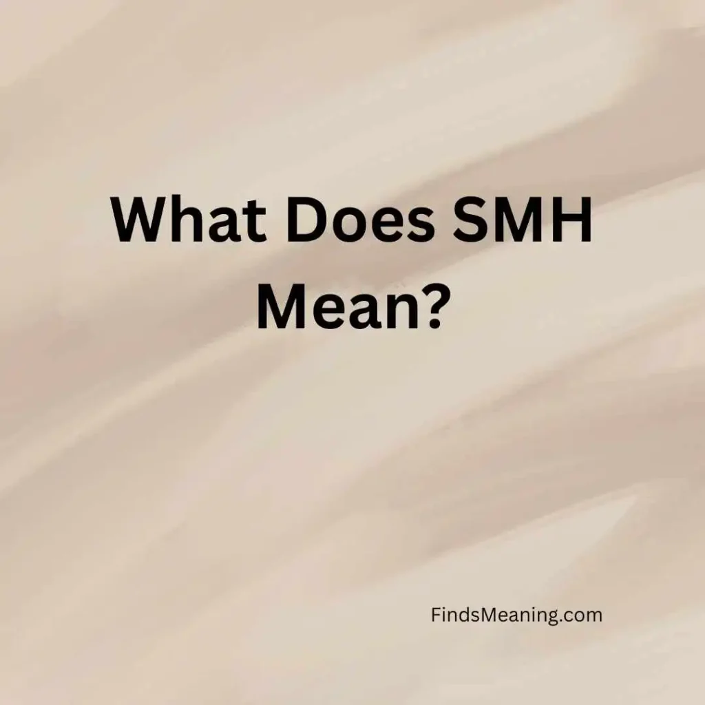 What Does SMH Mean