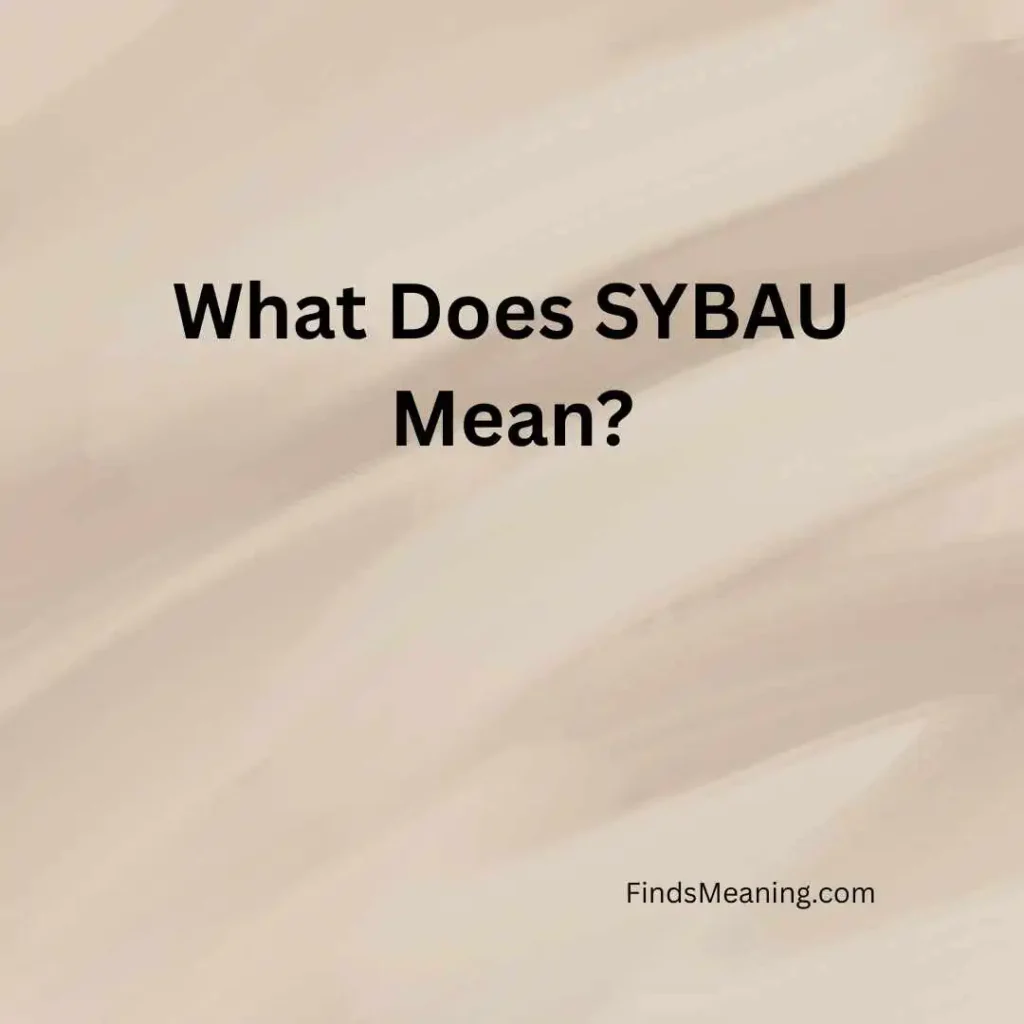 What Does SYBAU Mean