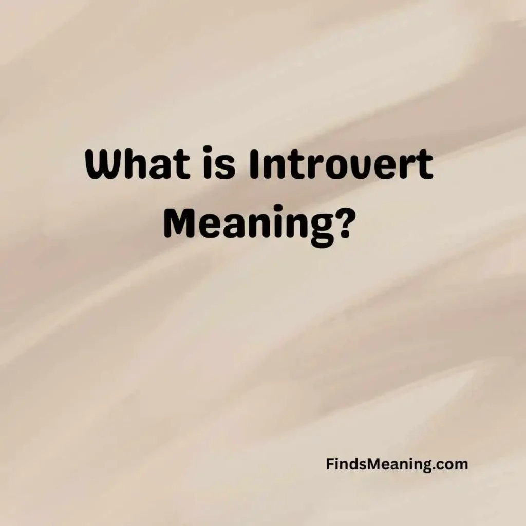What is Introvert Meaning