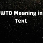 WTD Meaning in Text 