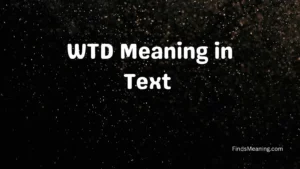 WTD Meaning in Text 
