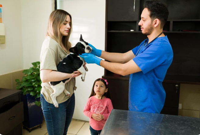 Veterinary Checkups