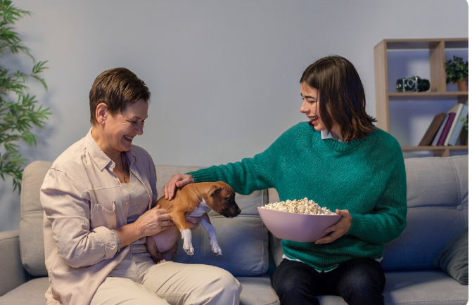 Pet’s Emotional Needs